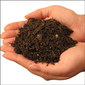 Soil
