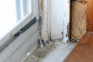 Dirty Windowsill
